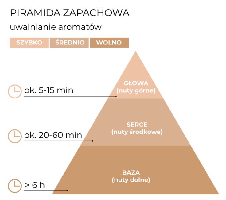 schemat_piramida_Dyfuzor 100 ml_GodsSPA_PL.jpg