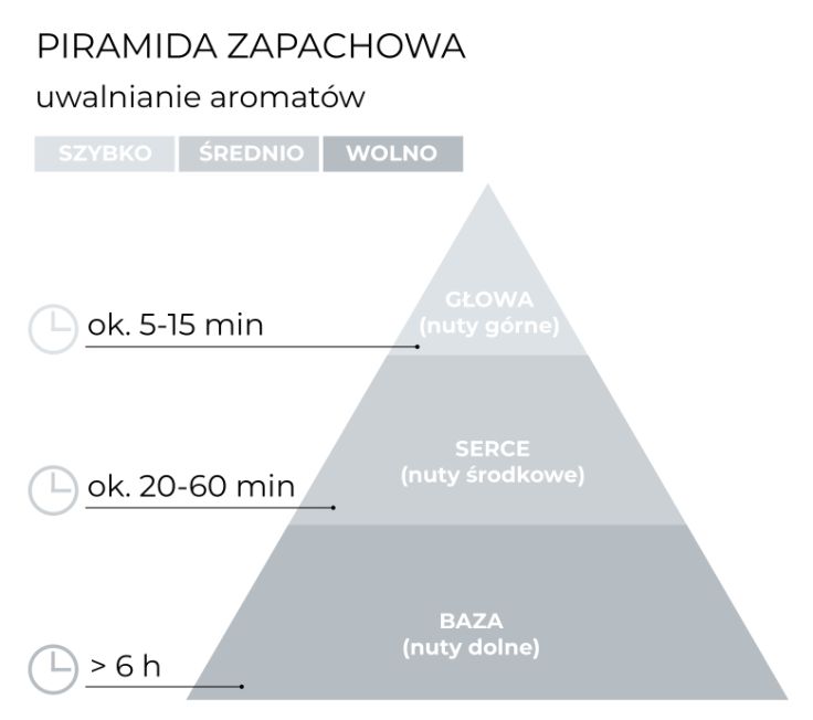 schemat_piramida_Dyfuzor 100 ml_Angel_Wings.jpg