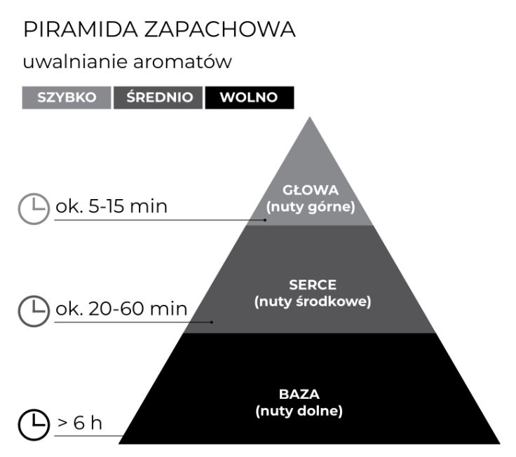 schemat_piramida_Dyfuzor 100 ml_ForHer_ForHim_PL.jpg
