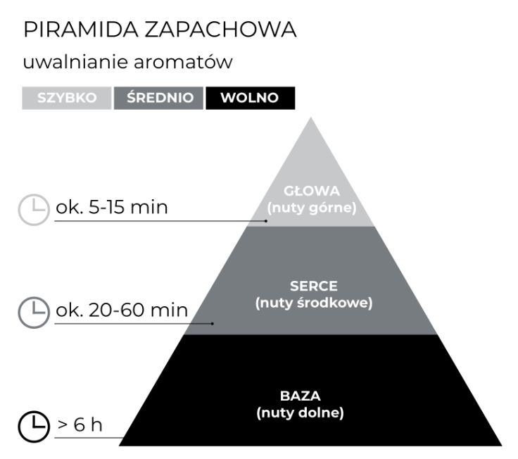 schemat_piramida_Dyfuzor 100 ml Glamorous_PL.jpg