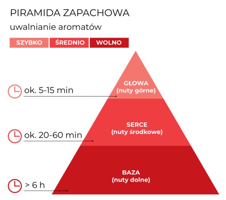 schemat_piramida_Dyfuzor100 ml _WinterTime_PL.jpg
