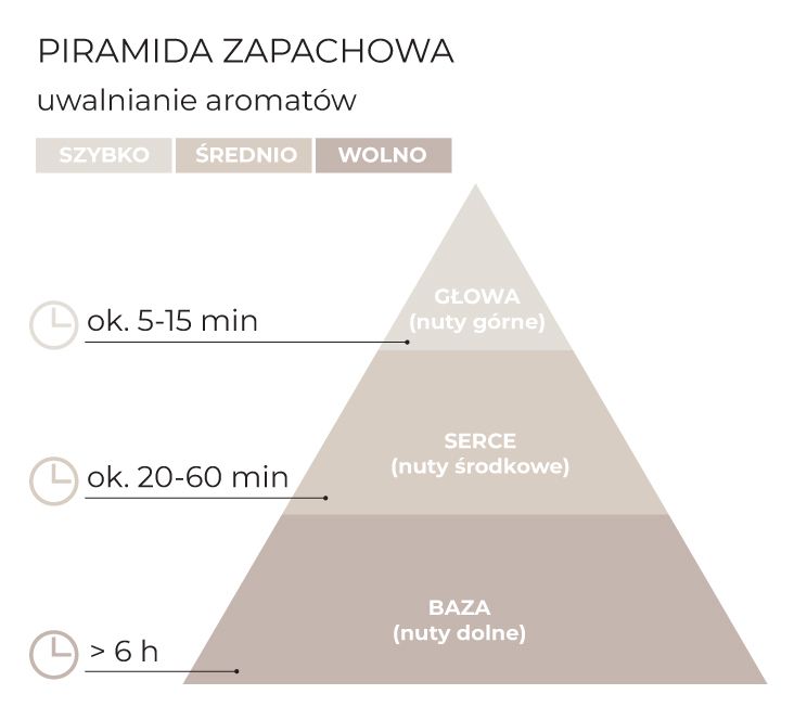 Piramida_zapachowa Dyfuzor Cotton_schematPL.jpg